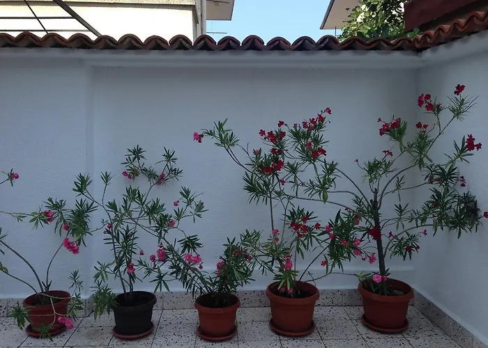 Gloria House 招待所